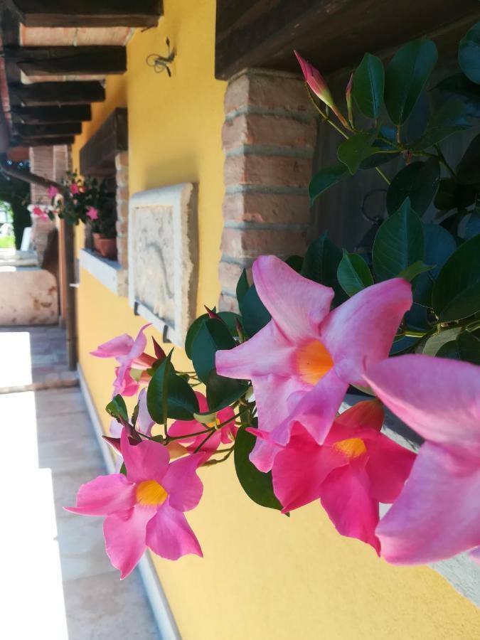 La Brigata Apartments Yellow House Cavallino-Treporti Exterior photo